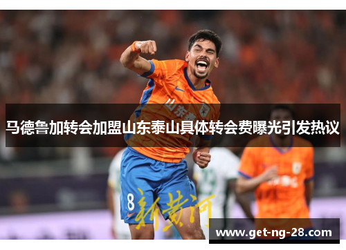 马德鲁加转会加盟山东泰山具体转会费曝光引发热议